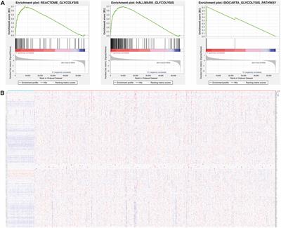 Glycolysis Define Two Prognostic Subgroups of Lung Adenocarcinoma With Different Mutation Characteristics and Immune Infiltration Signatures